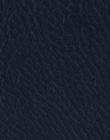 Plain Blue