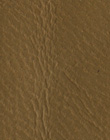 Plain Mustard