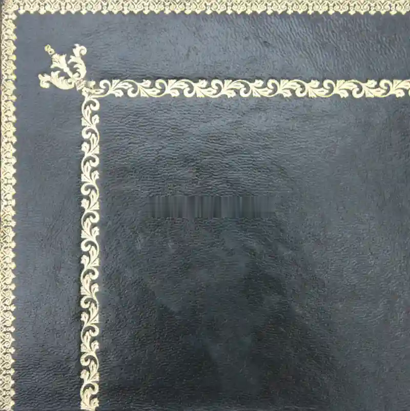 Desk leather tooling pattern 22