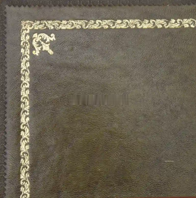 Desk leather tooling pattern 26