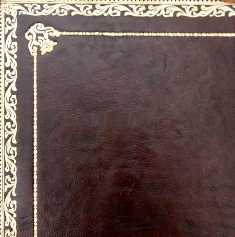 Desk leather tooling pattern 37