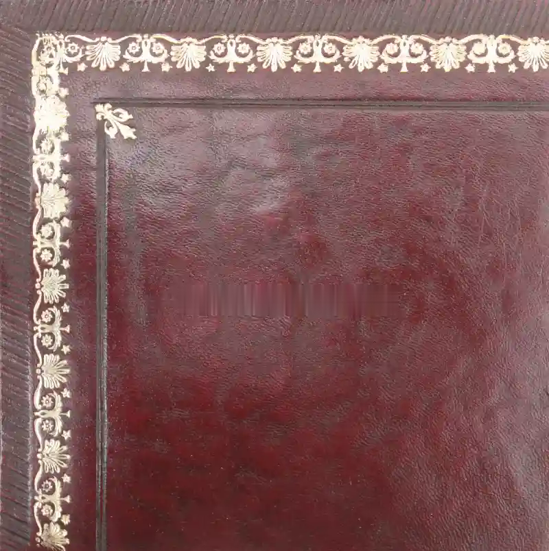 Desk leather tooling pattern 54
