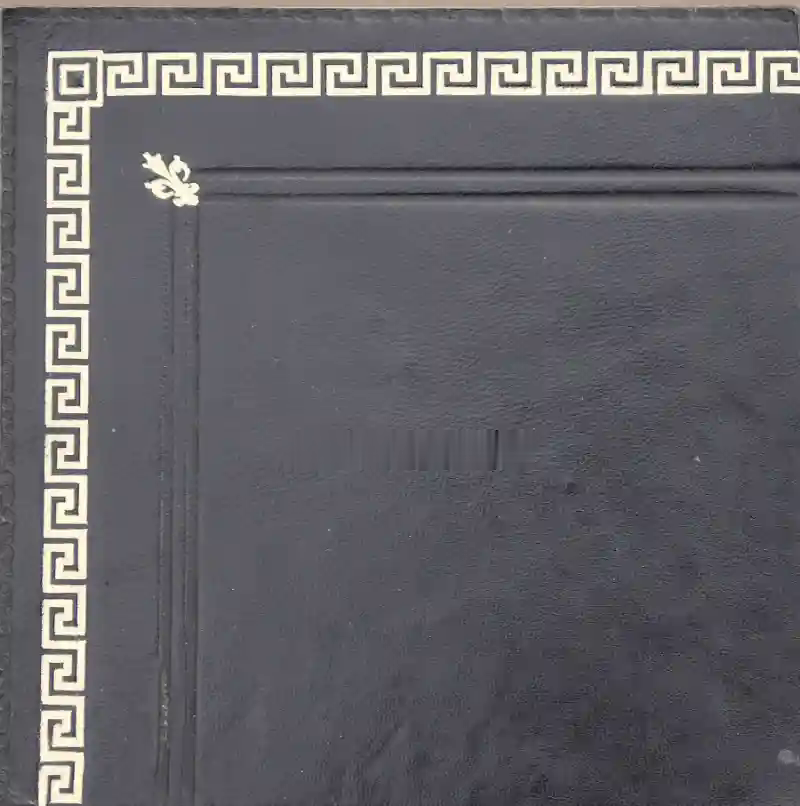 Desk leather tooling pattern 56