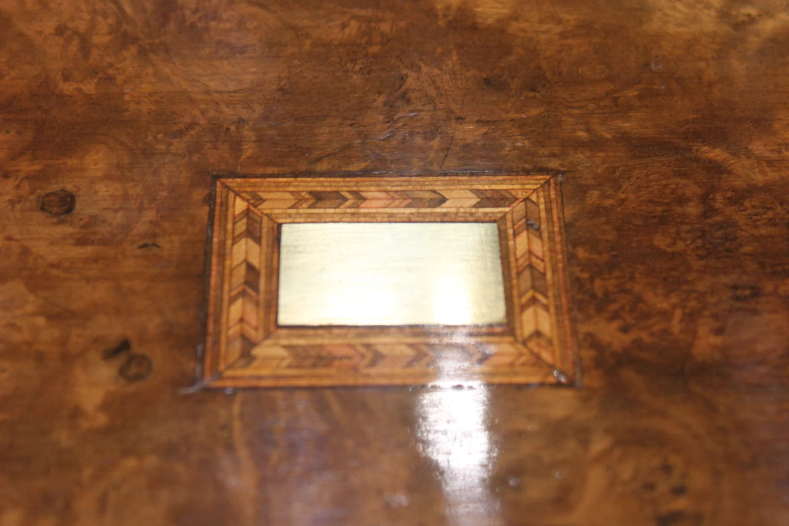 Victorian burr walnut writing slope 4907 — view 2