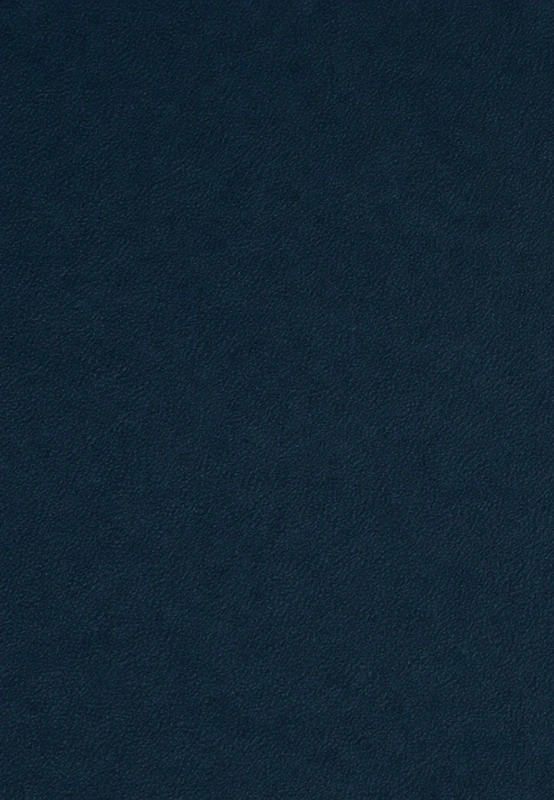 Blue desk leather swatch