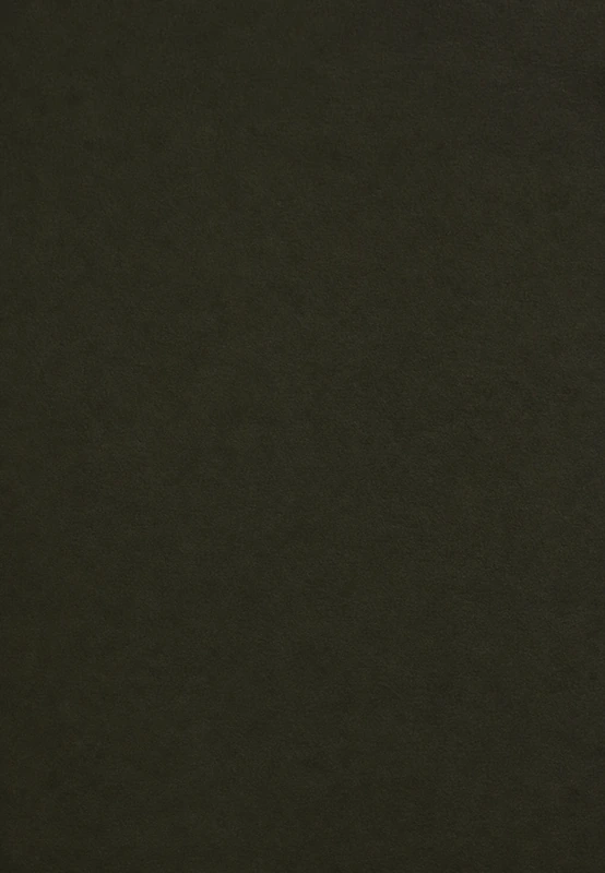 Olive desk leather swatch
