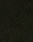 Antiqued Olive