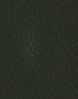 Plain Olive